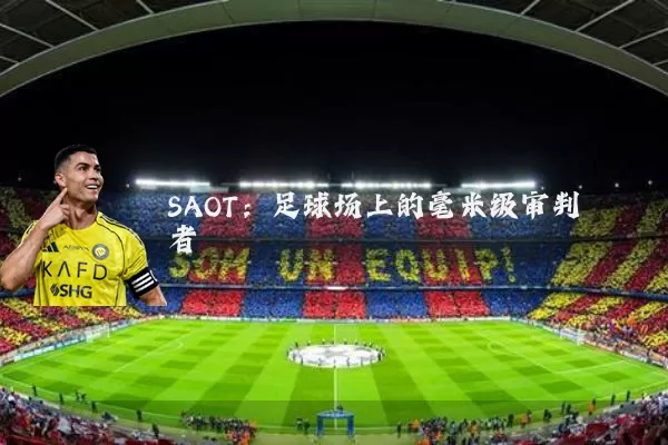 SAOT：足球场上的毫米级审判者