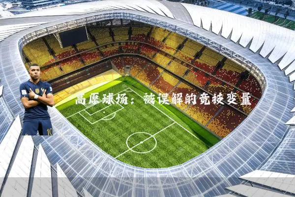 高原球场：被误解的竞技变量